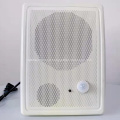 Active Infrared Sensor Wall Speaker with Bluetooth